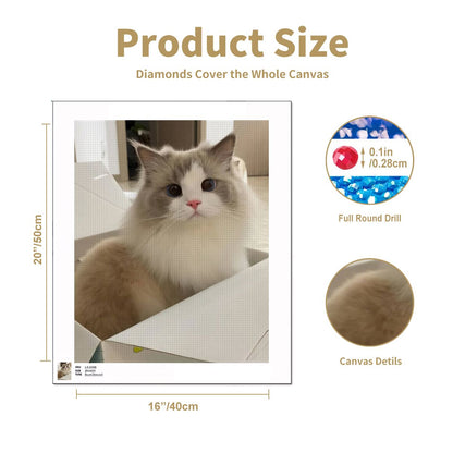 Custom Painting By Number Kit